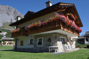 Отель Chalet Bormio Stelvio  Валдидентро